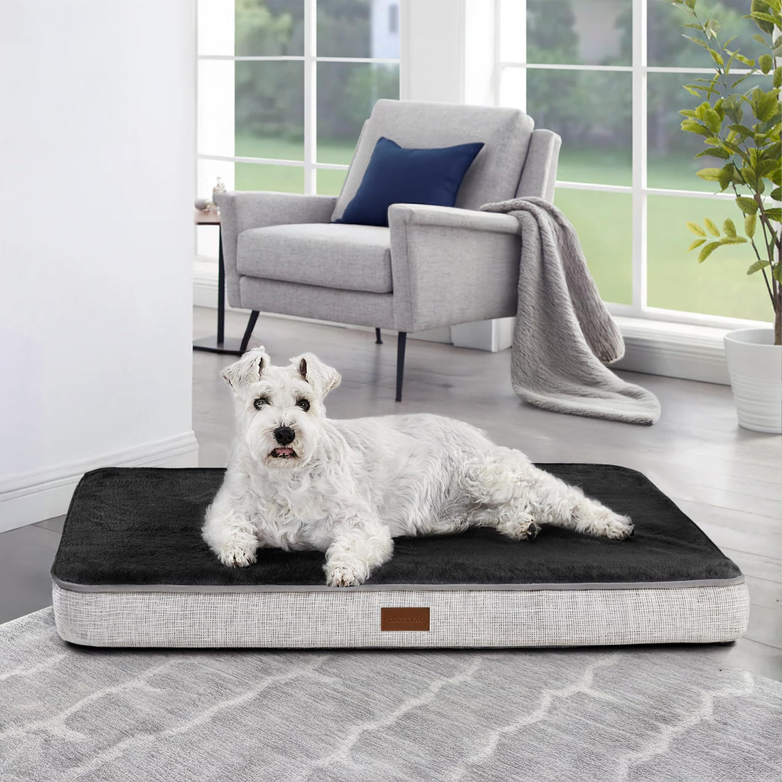 Orthopedic Dog Bed with Washable Cover, Dark Grey