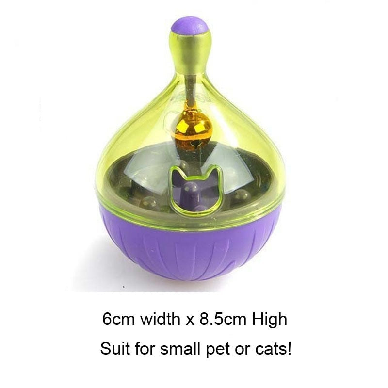 Interactive IQ Toy