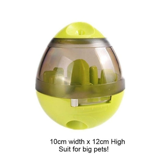 Interactive IQ Toy