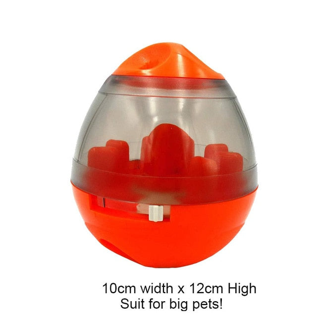 Interactive IQ Toy