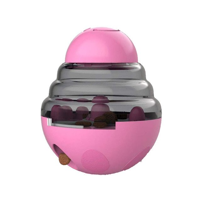 Interactive IQ Toy