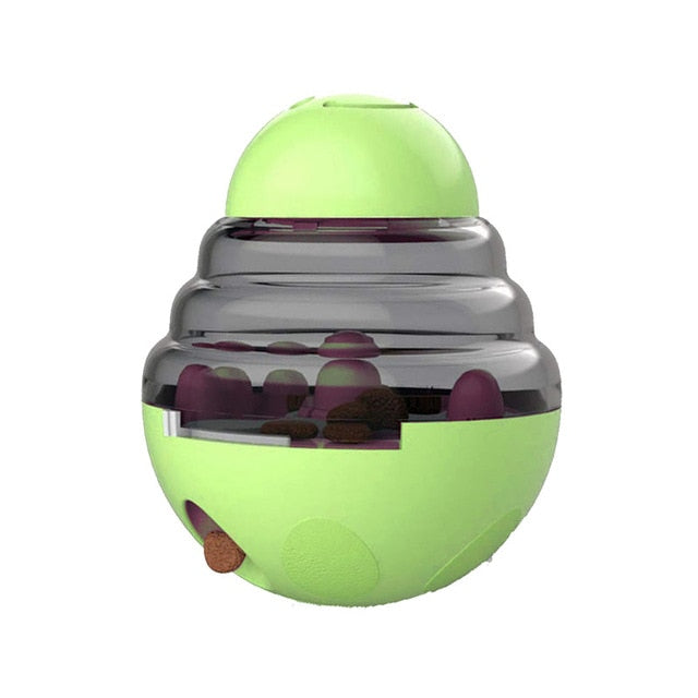 Interactive IQ Toy