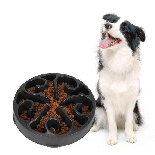 Interactive Slow-Feed Bowl