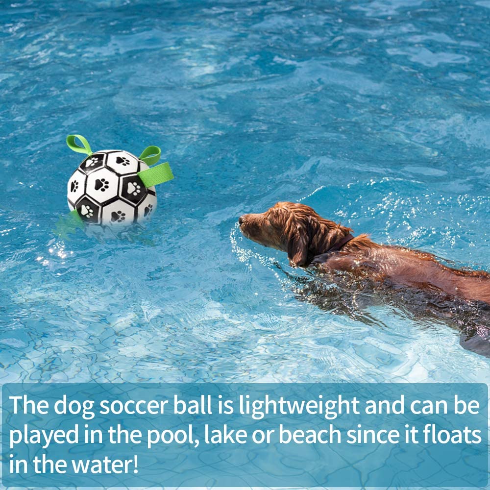 Outdoor Soccer ball for Large Dogs w Pump