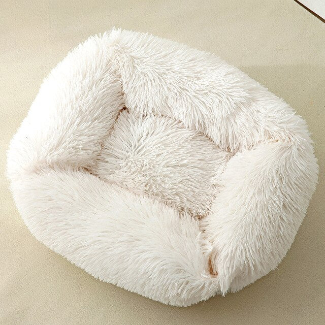 Square Dog Bed