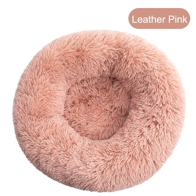 Square Dog Bed
