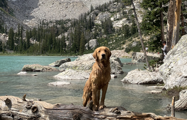 Navigating the great Outdoors