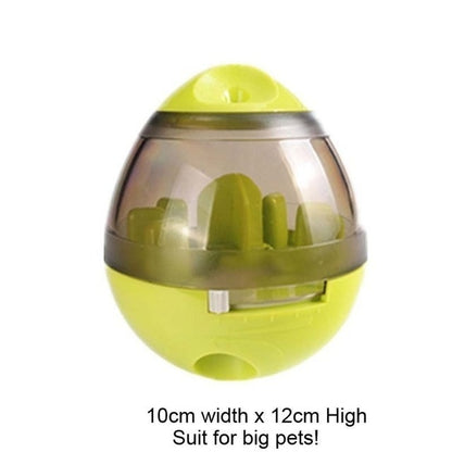 Interactive IQ Toy