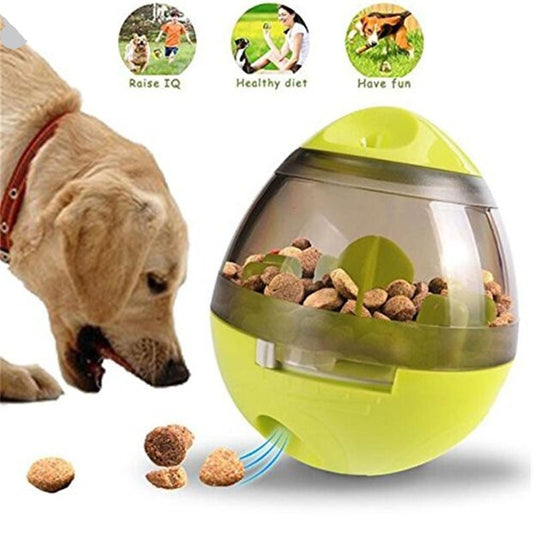 Interactive IQ Toy