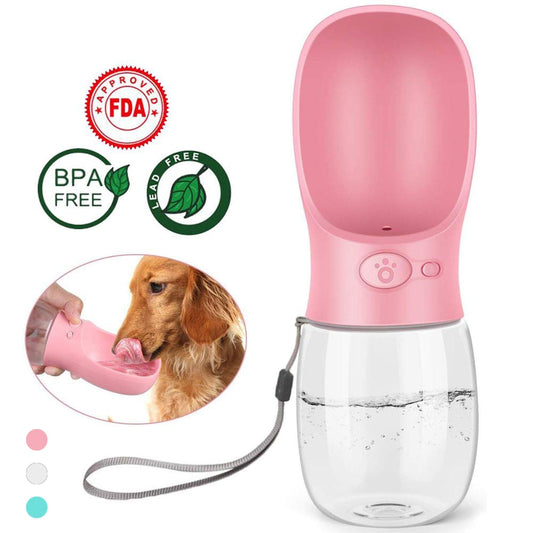 Portable Water Bottle