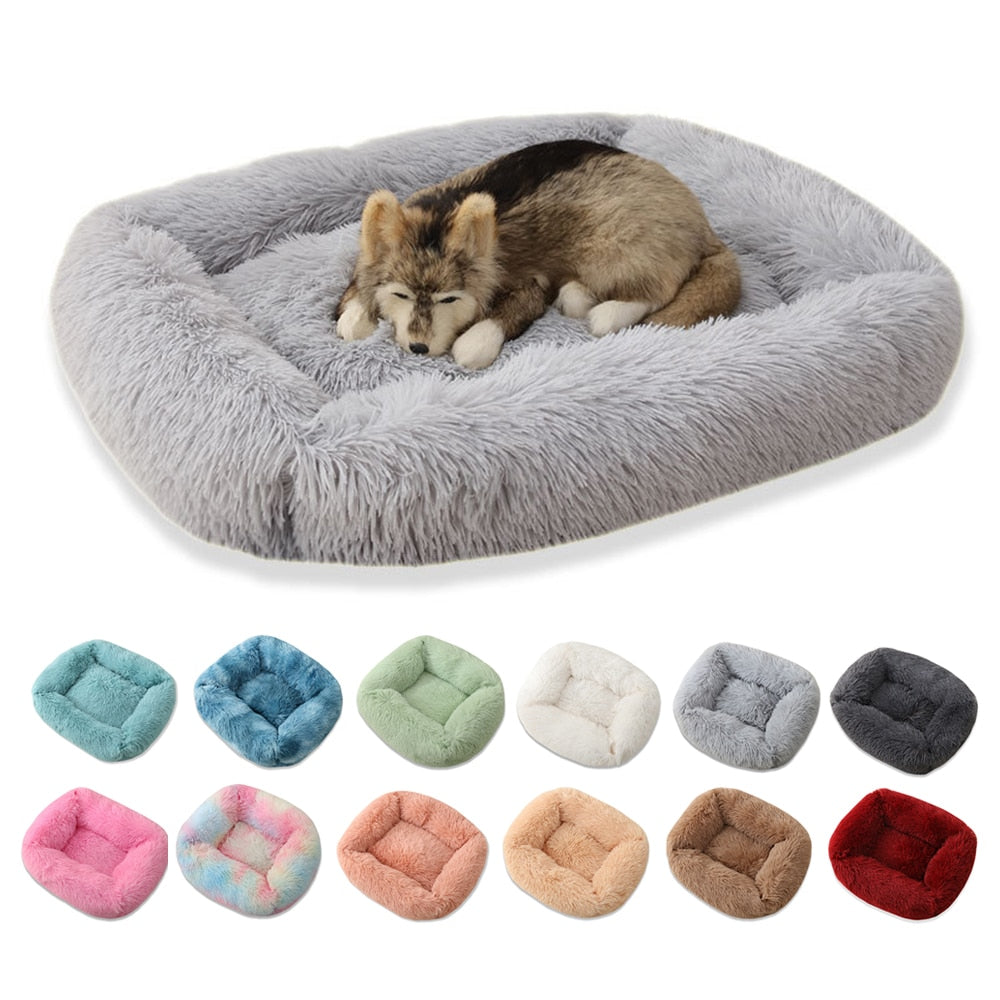 Square Dog Bed